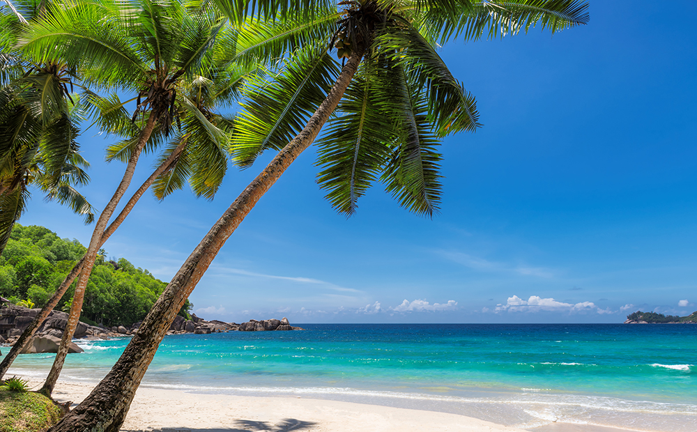 Overseas travel business